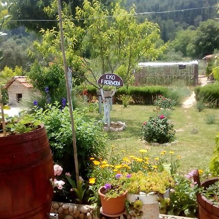Appartement Apartman Rosa à Skradin Extérieur photo