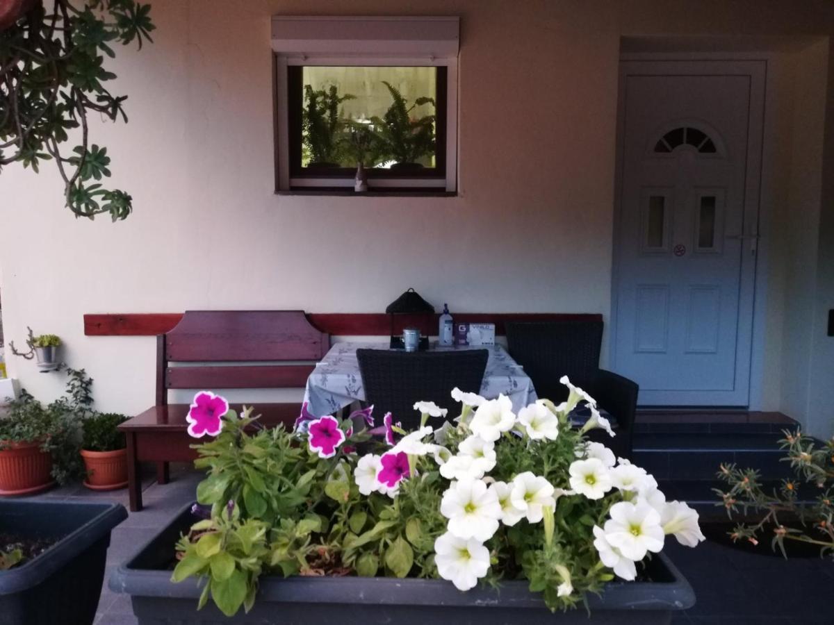 Appartement Apartman Rosa à Skradin Extérieur photo