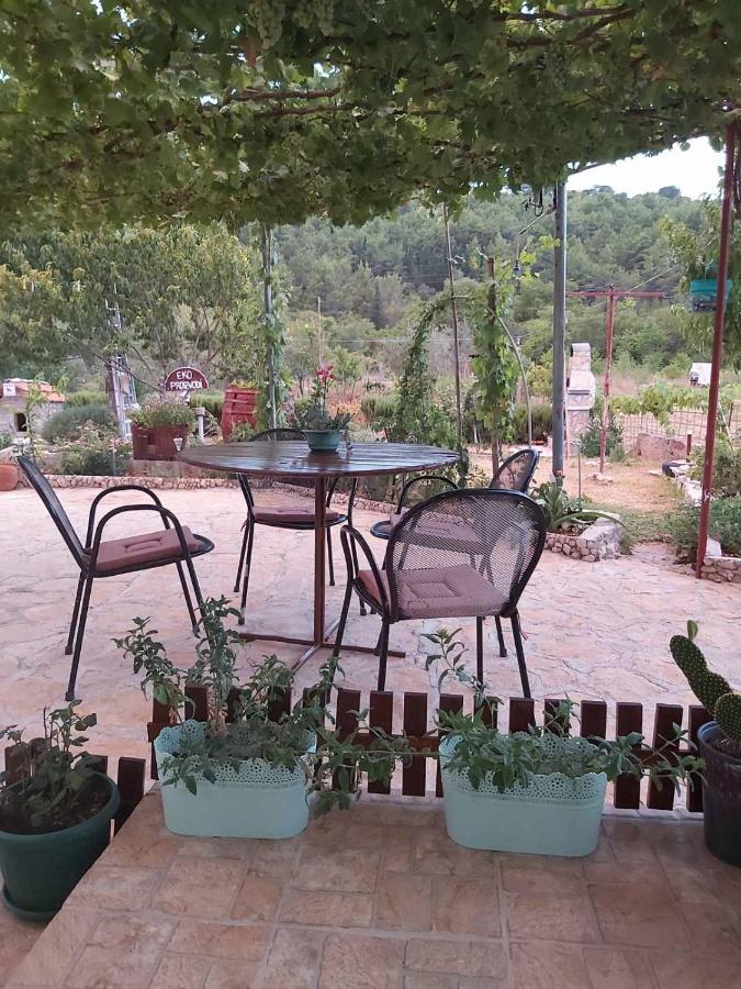 Appartement Apartman Rosa à Skradin Extérieur photo