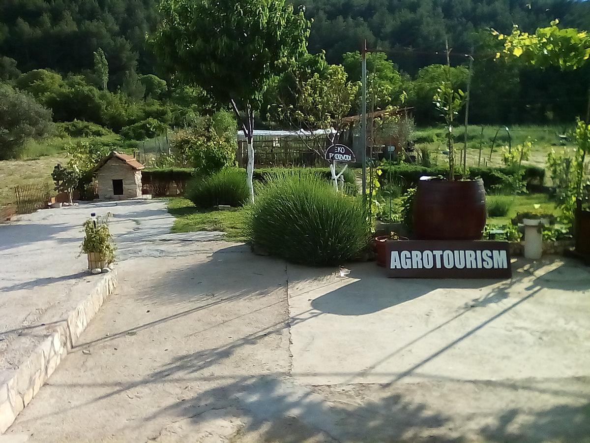 Appartement Apartman Rosa à Skradin Extérieur photo
