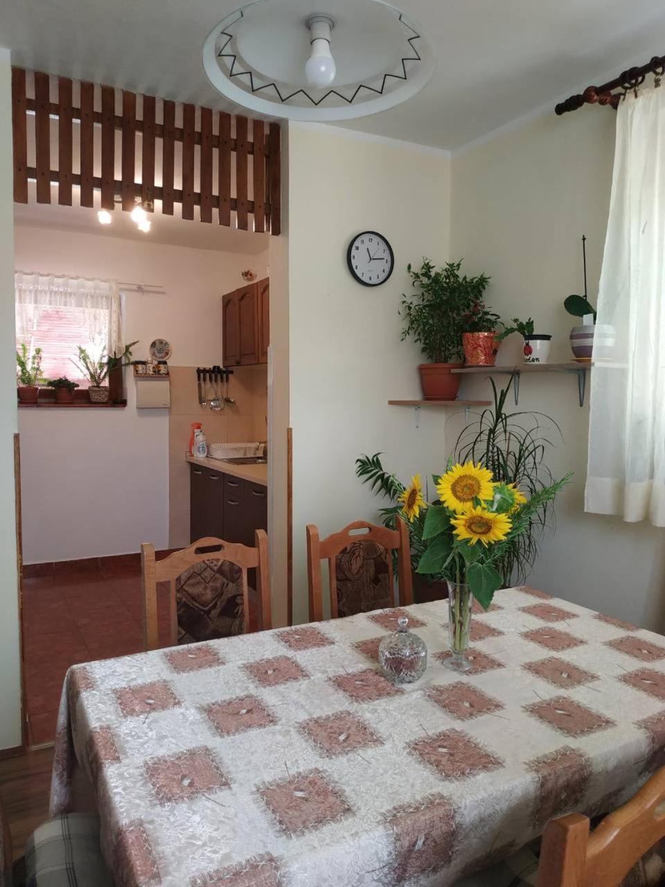Appartement Apartman Rosa à Skradin Extérieur photo